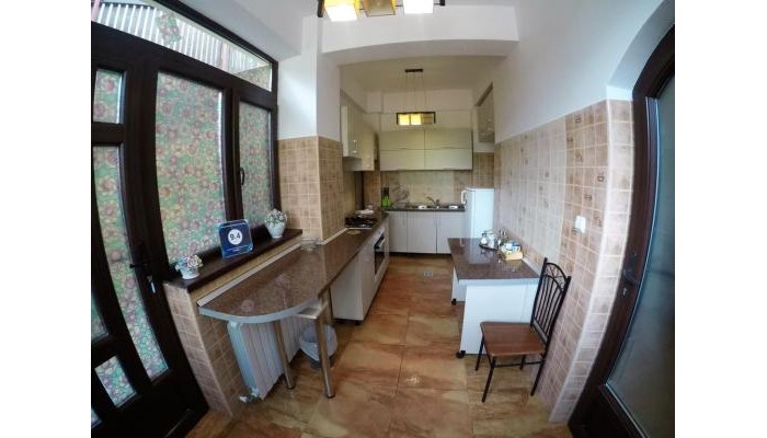 Hotel Casa De Vacanta Razvan Si Andrei poza 9