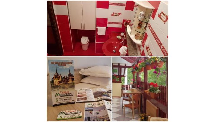 Hotel Casa De Vacanta Razvan Si Andrei poza 7