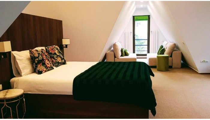 Hotel Casa Varful Cu Dor poza 13
