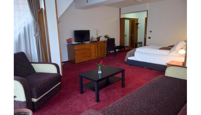 Poza pentru Hotel Cumpatu 629-1528194359 Hotel Cumpatu poza 1
