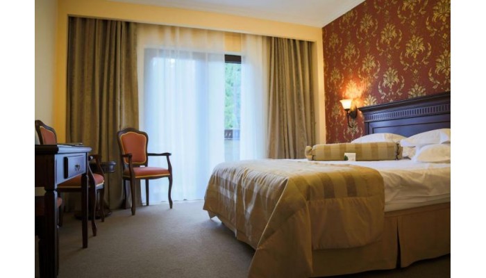 Hotel Foisorul Cu Flori poza 4