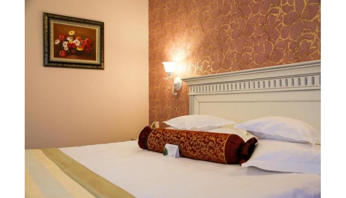 Hotel Foisorul Cu Flori poza 3