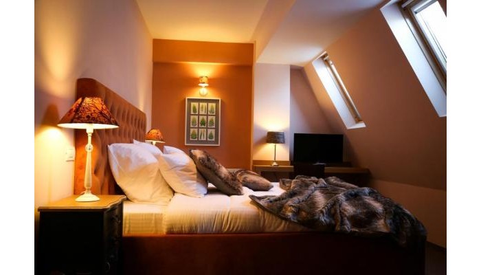 Hotel Oblique Forest Spa poza 5