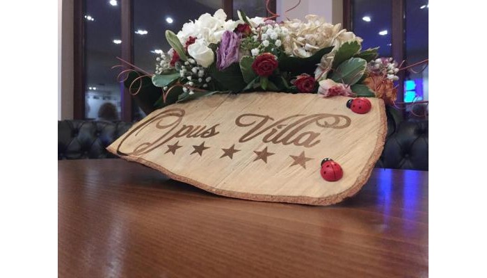 Hotel Opus Villa poza 5