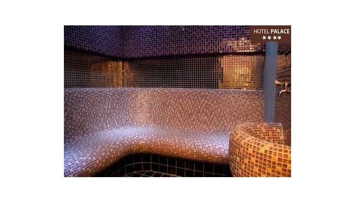 Poza pentru Hotel Palace **** 99-1527929850 Hotel Palace **** poza 4