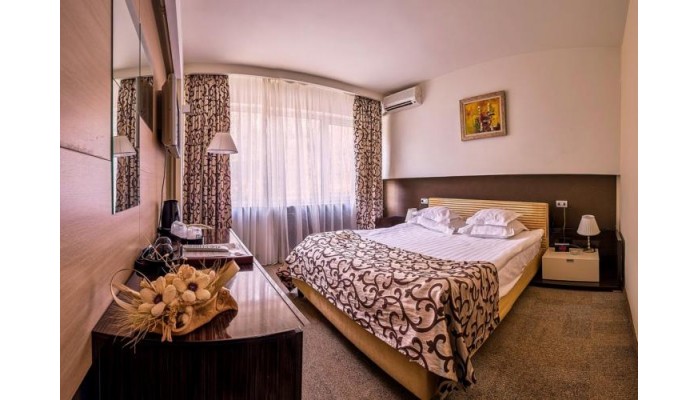 Hotel Rina Sinaia poza 9