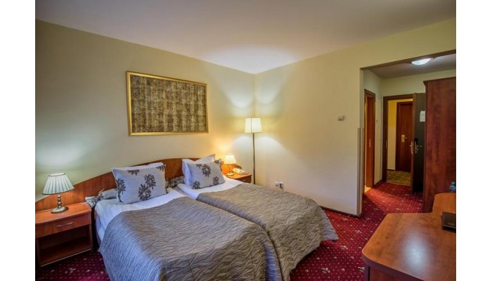 Hotel Rina Sinaia poza 8