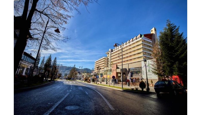 Hotel Rina Sinaia poza 2