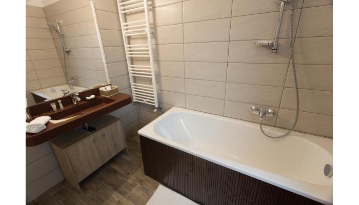 Pensiunea Carmen`s Mansion B poza 12