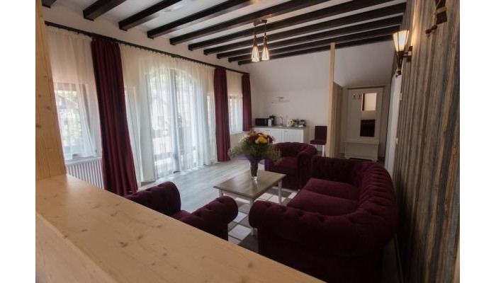 Pensiunea Carmen`s Mansion B poza 9