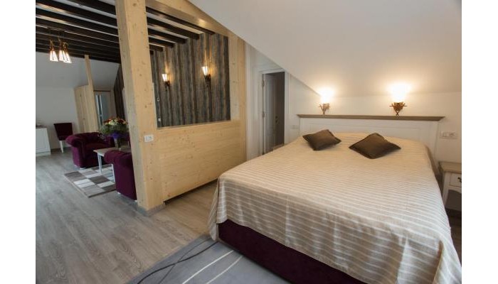 Pensiunea Carmen`s Mansion B poza 11