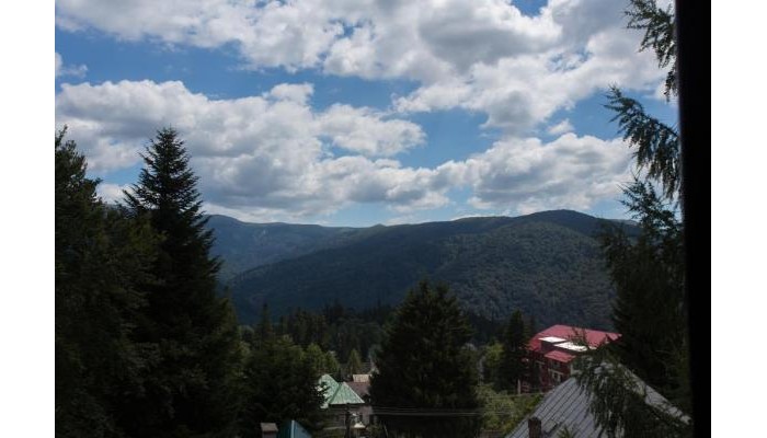 Pensiunea Carmen`s Mansion B poza 2