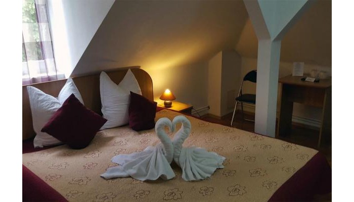 Pensiunea Vila Gabriel poza 5