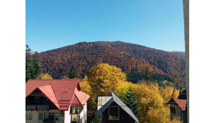 Pensiunea Vila Gabriel poza 1