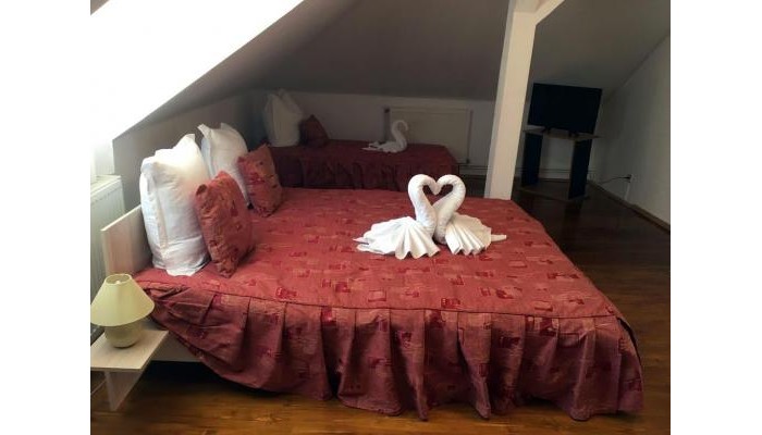 Pensiunea Vila Gabriel poza 6