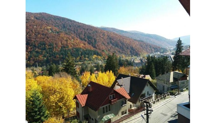 Pensiunea Vila Gabriel poza 3