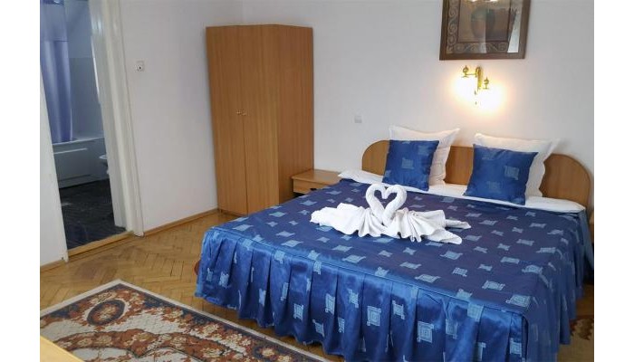 Pensiunea Vila Gabriel poza 7