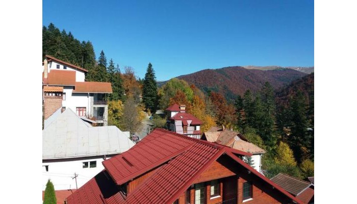 Pensiunea Vila Gabriel poza 2