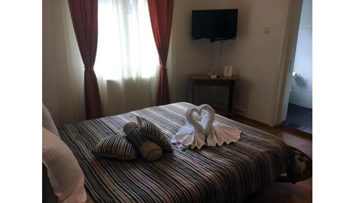 Pensiunea Vila Gabriel poza 8