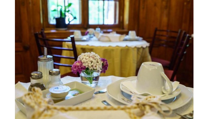 Vila Camelia poza 12