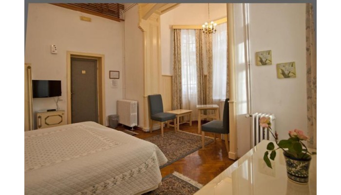 Vila Camelia poza 10