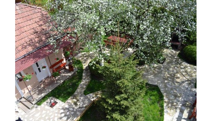 Hotel Casa Camelia poza 8