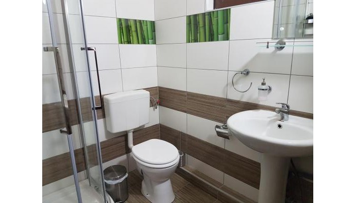 Hotel Casa Demény poza 3