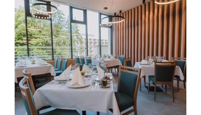 Hotel Ursina Ensana Health Spa (Ex Faget) poza 6