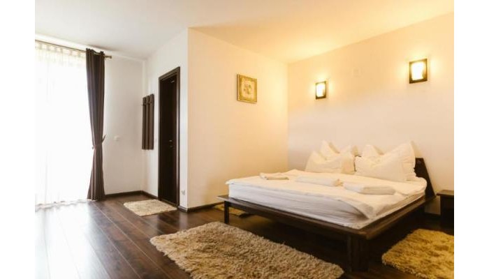 Hotel Hanul Conitei poza 3