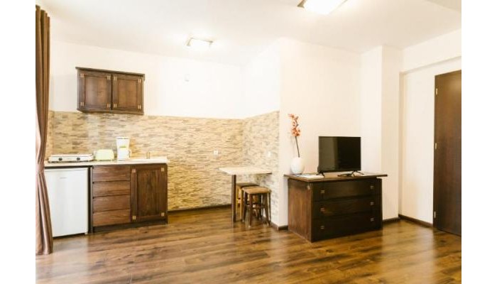 Hotel Hanul Conitei poza 6