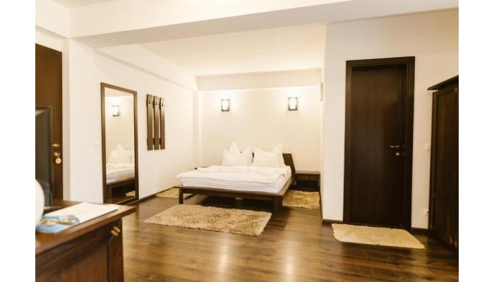 Hotel Hanul Conitei poza 1