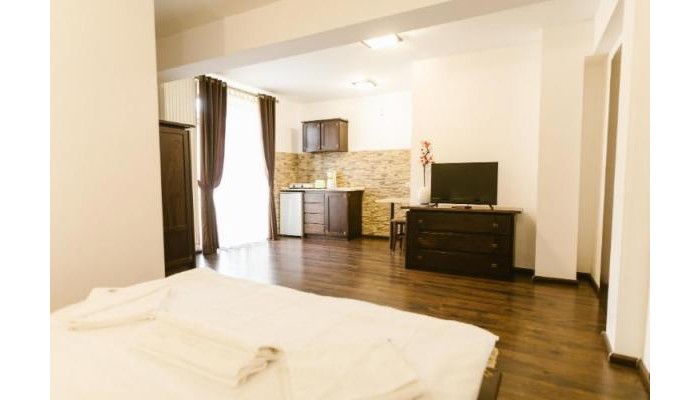 Hotel Hanul Conitei poza 5