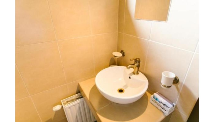 Hotel Hanul Conitei poza 7