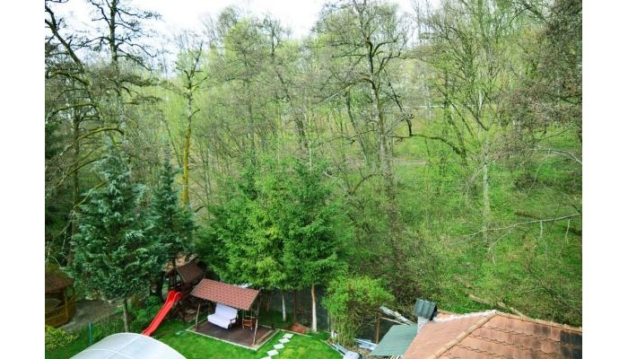 Pensiunea Arinul poza 7