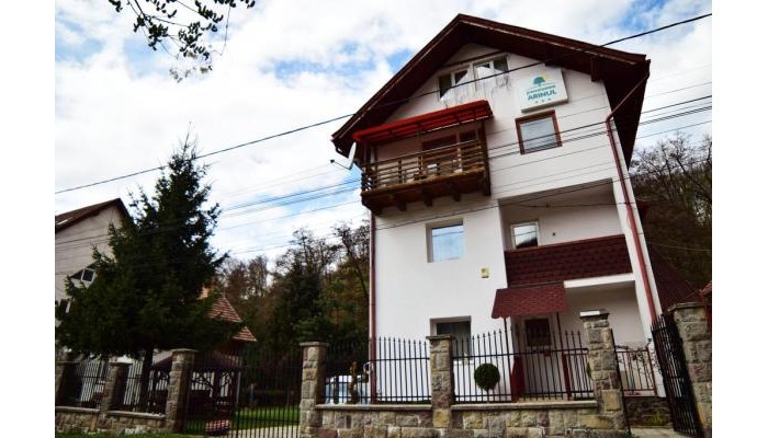 Pensiunea Arinul poza 4