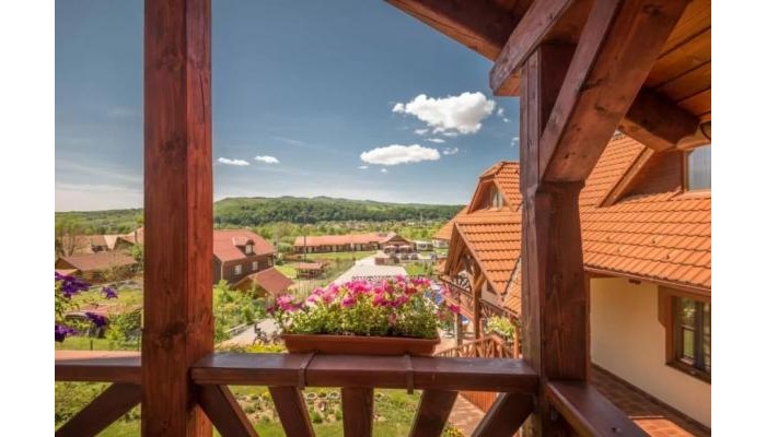 Pensiunea Németh poza 28