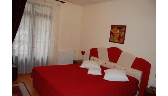 Pensiunea Speranta poza 13