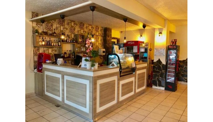 Vila Ursul Negru poza 10