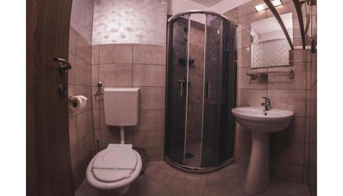 Vila Ursul Negru poza 9