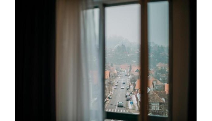 Vila Ursul Negru poza 8