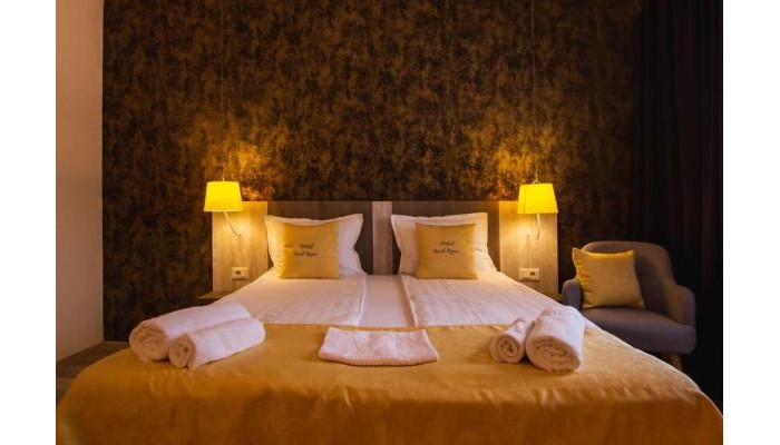 Vila Ursul Negru poza 6