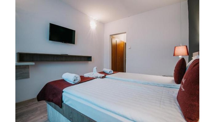 Vila Ursul Negru poza 4