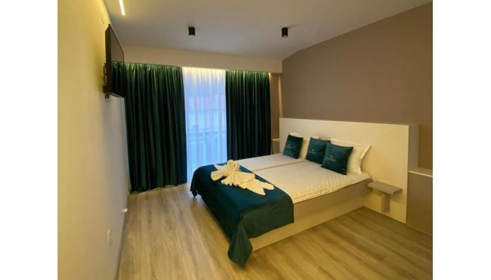 Vila Ursul Negru poza 5