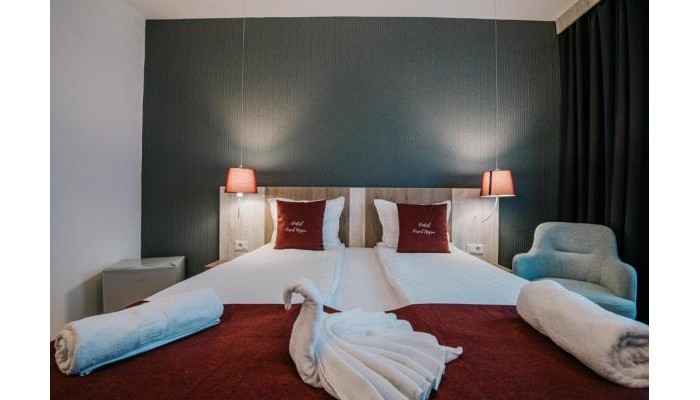 Vila Ursul Negru poza 2