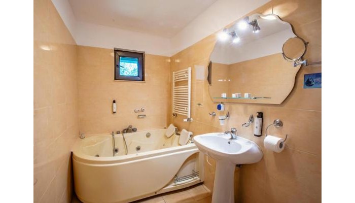 Hotel Conacul Domnesc poza 8