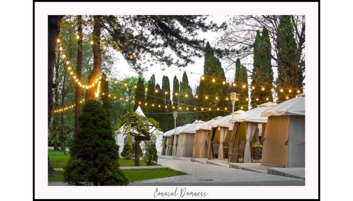 Hotel Conacul Domnesc poza 22