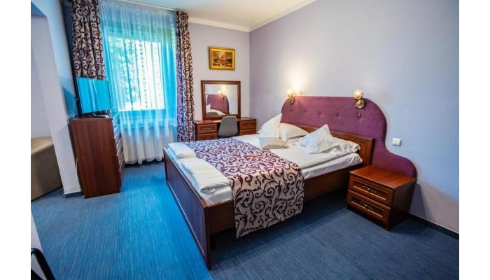 Hotel Conacul Domnesc poza 2