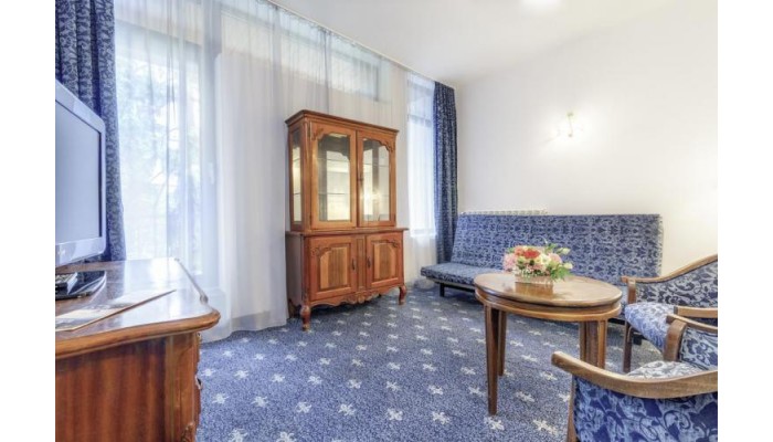 Hotel Continental Suceava poza 13