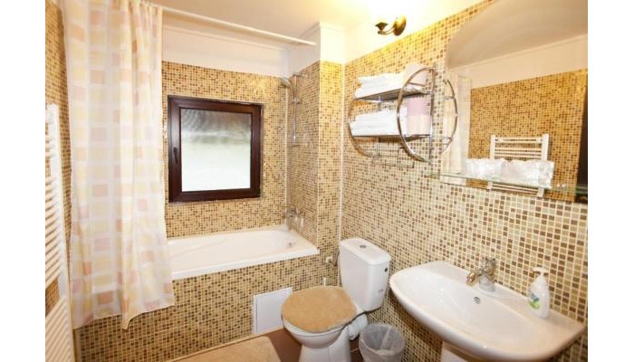 Hotel La Bucovineanca poza 9