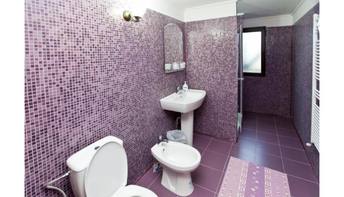 Hotel La Bucovineanca poza 7